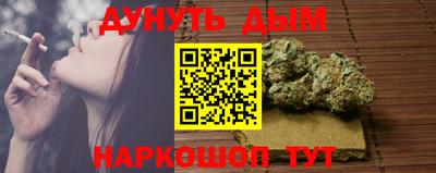 гидра Славгород