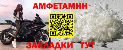 гидра Славгород