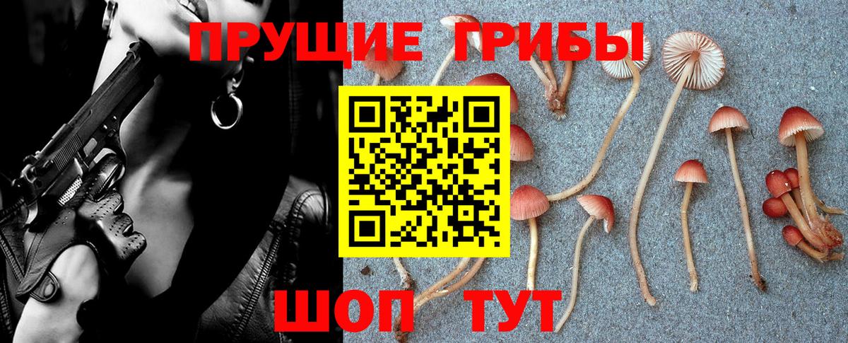 Псилоцибиновые грибы Cubensis Мурманск